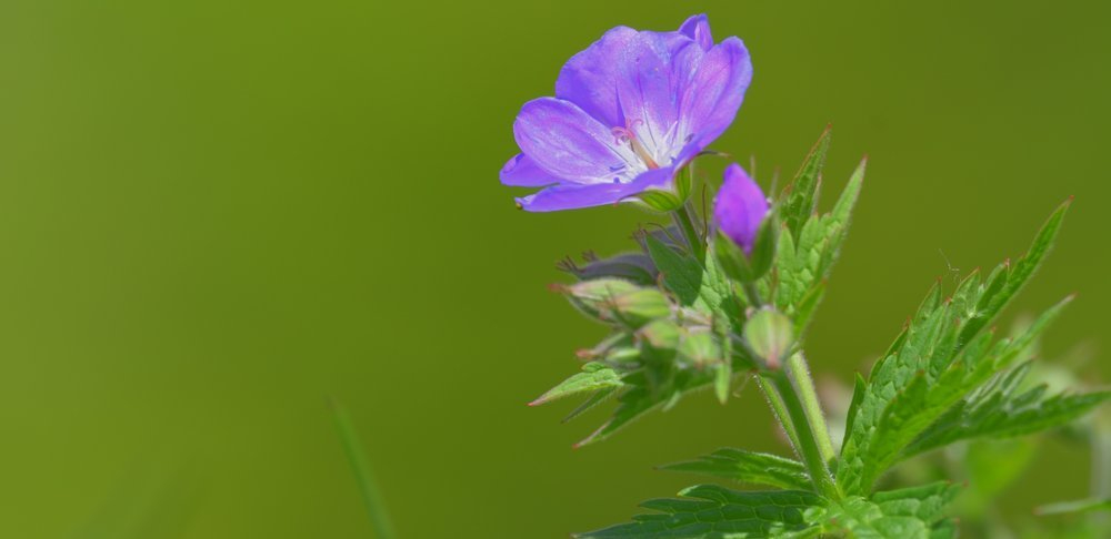 Naturschönheiten Naturschönheiten